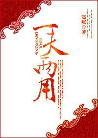 一夫两用封面
