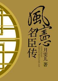 风宪名臣传封面