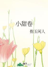 小甜卷封面