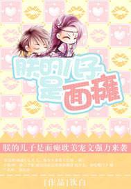 朕的儿子是面瘫封面