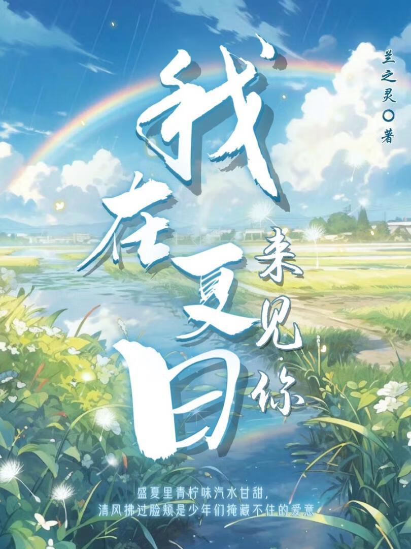 我在夏日来见你封面