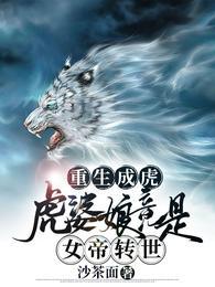 韩夜封面