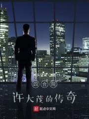 从四合院许大茂开始封面