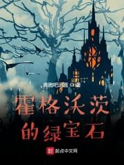 霍格沃茨的绿宝石封面