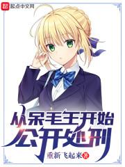 从呆毛王开始公开处刑封面