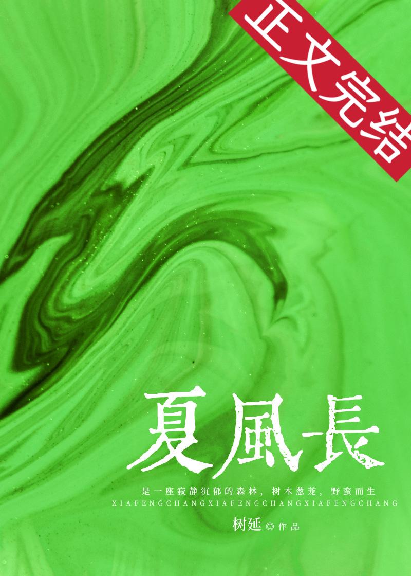 夏风长封面