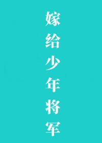 嫁给少年将军封面