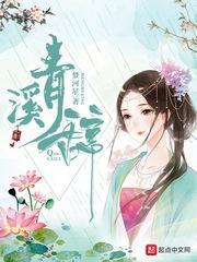 青溪辞封面