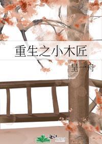 重生之小木匠封面