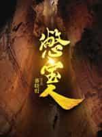 憋宝人封面