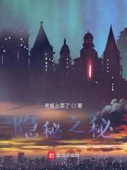 隐秘之秘封面