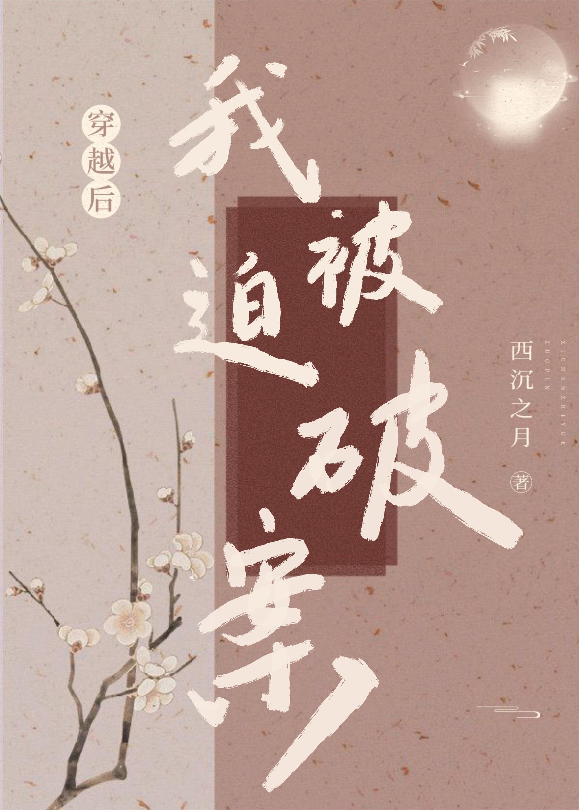 穿越后我被迫破案封面