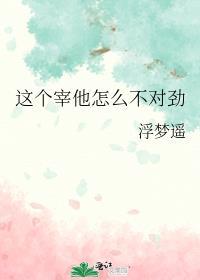 这个宰他怎么不对劲封面