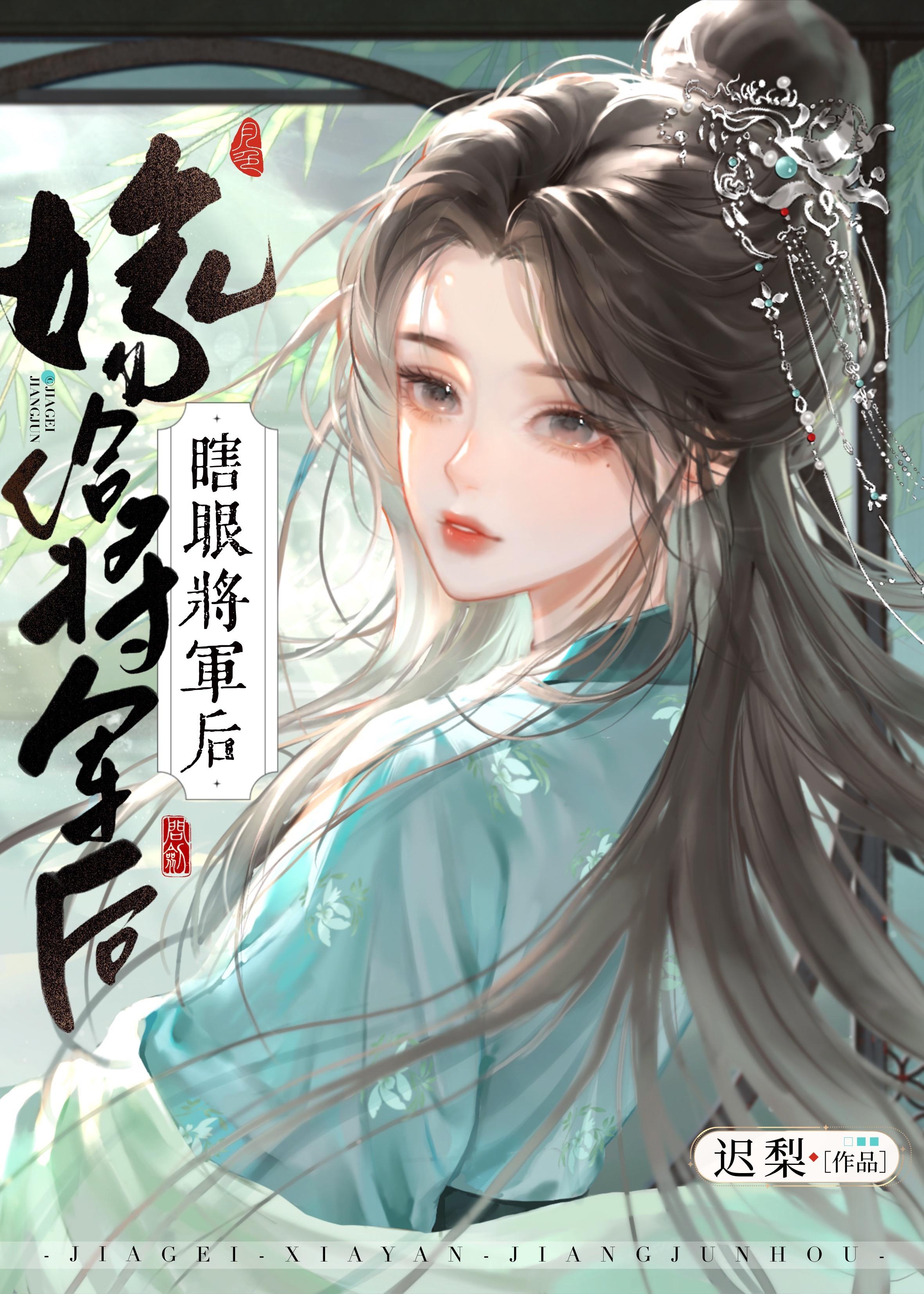 嫁给瞎眼将军后封面