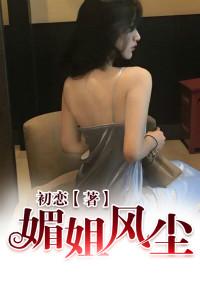 媚姐风尘封面