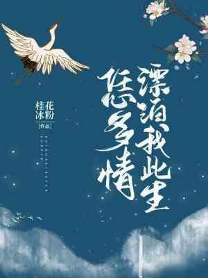 漂泊我此生恁多情封面