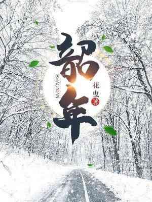 韶年封面