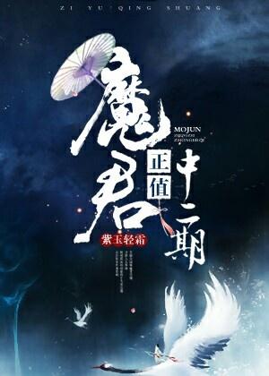 魔君正值中二期封面
