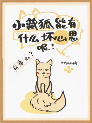 穿成上神的小藏狐封面