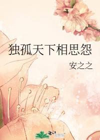 独孤天下相思怨封面