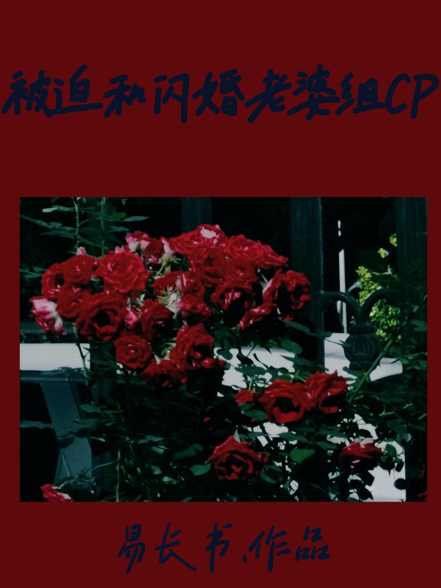 被迫和闪婚老婆组CP封面