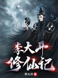 李大开封面