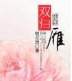 双归雁封面