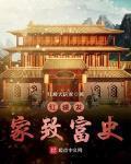 红楼发家致富史封面