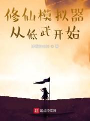 修仙模拟器从低武开始封面