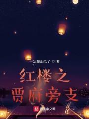 红楼之贾府旁支封面