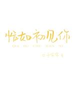 恰如初见你封面
