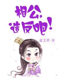 相公，造反吧！封面