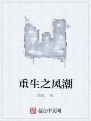 重生之风潮封面