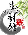 从乡镇干部到省委书记封面