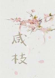 寒宫炬梦（帝后 1v1）封面