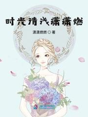 时光清浅潇潇燃封面