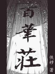 百华庄封面