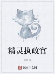 精灵执政官封面