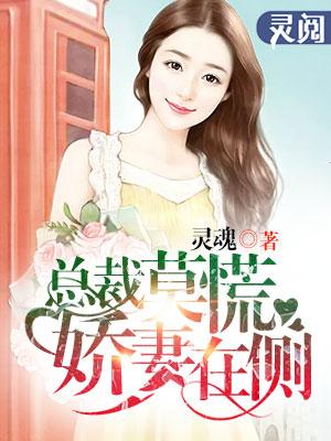 总裁莫慌，娇妻在侧封面