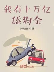我有十萬億舔狗金封面