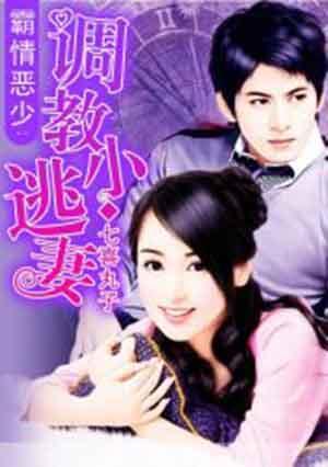 宠婚小逃妻封面