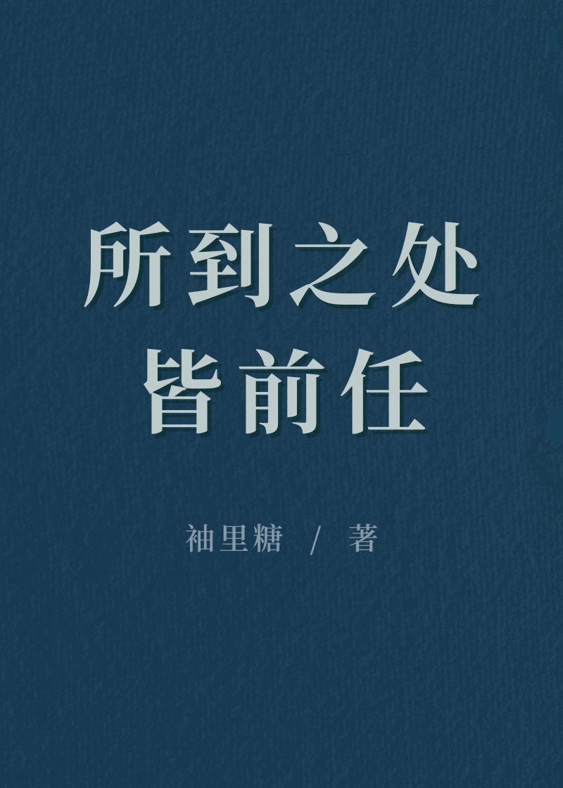 所到之处皆前任封面