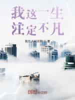我这一生註定不凡封面