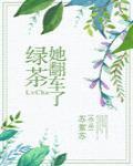 绿茶她翻车了封面