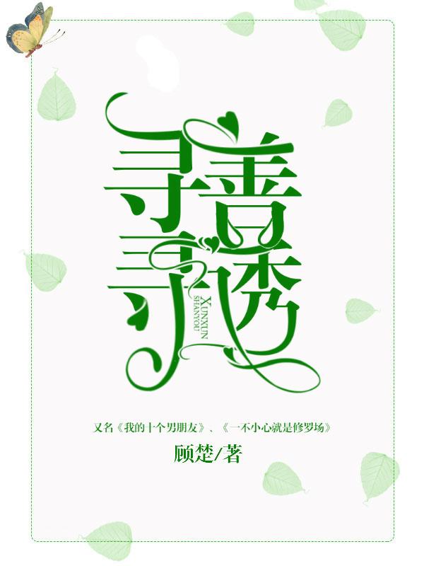 寻寻善诱封面