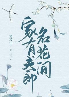 家有夫郎名花间封面