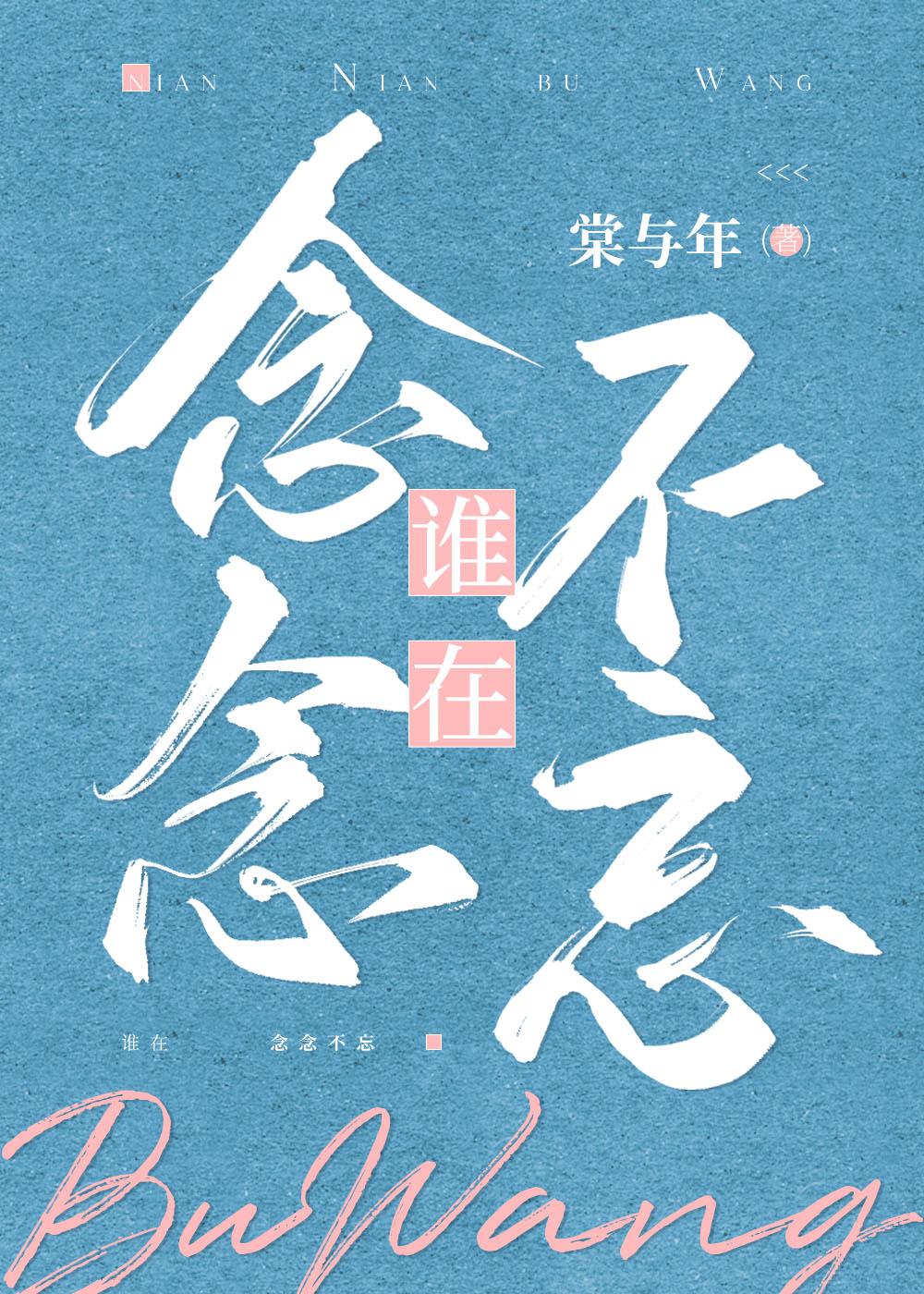 谁在念念不忘封面