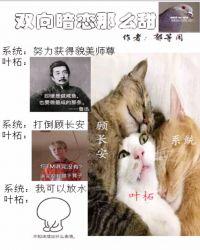 反派深受喜爱封面