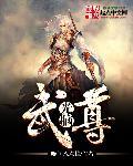 光脑武尊封面