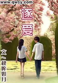 逐爱封面